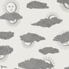 Soli e Nuvole-behang-Cole & Son-Black & White-Rol-123/2007-Selected Wallpapers
