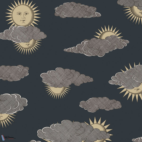 Soli e Nuvole-behang-Cole & Son-Gold Silver on Charcoal-Rol-123/2008-Selected Wallpapers