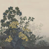 GLXVI381A