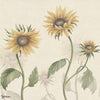 Sunflowers Tapete-Sandberg-Yellow-Mattic-M2-Selected Wallpapers-Interiors