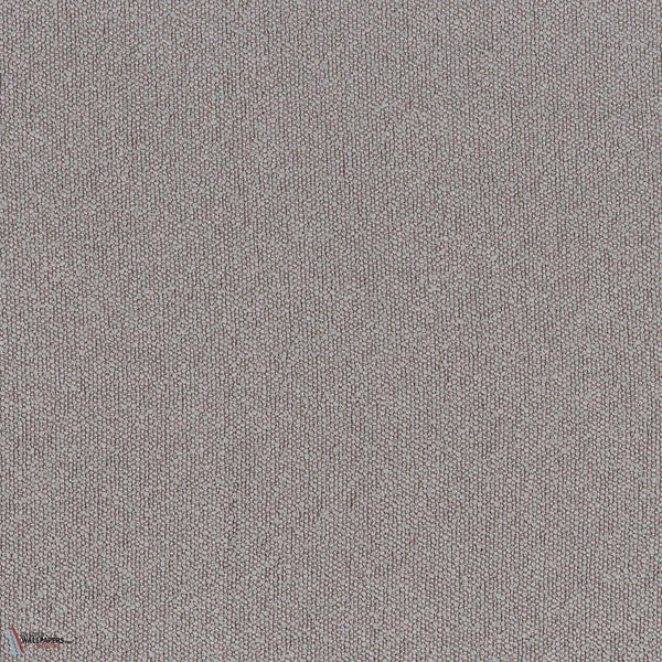 Gris Cendre