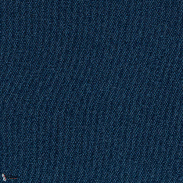 A45941033