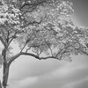 The Silent Witness behang-behang-LondonArt-1-RAW-S120-M2-Selected Wallpapers & Interiors
