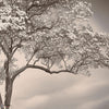 The Silent Witness behang-behang-LondonArt-2-RAW-S120-M2-Selected Wallpapers & Interiors