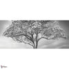 The Silent Witness behang-behang-LondonArt-Selected Wallpapers & Interiors
