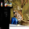 The Tigris behang-Daisy James-Selected Wallpapers-Interiors