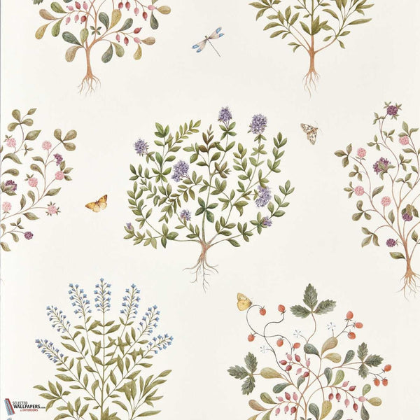 Thyme walk Tapete-Sanderson-Damson & Quince-Rolle-Selected Wallpapers-Interiors