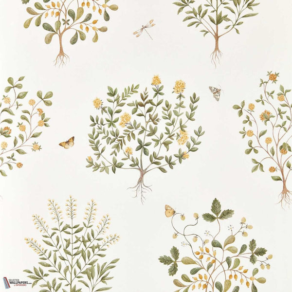Thyme walk Tapete-Sanderson-Lichen & Gooseberry-Rolle-Selected Wallpapers-Interiors