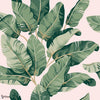 Tom wallpaper-Sandberg-Emerald-Roll-Selected Wallpapers-Interiors