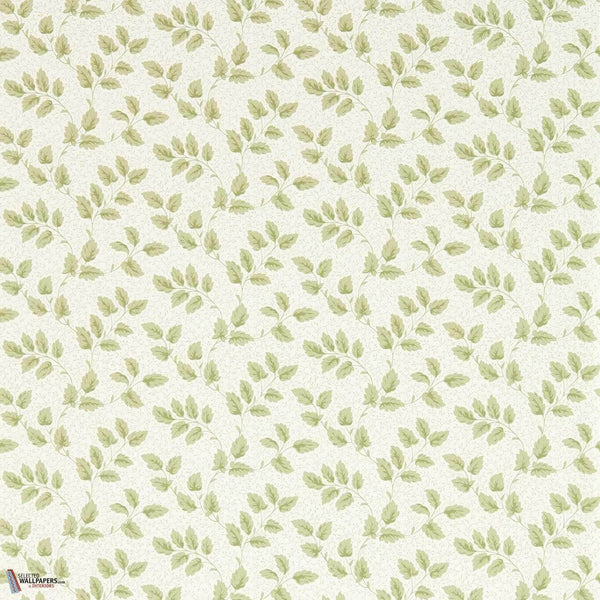 Tomato leaf wallpaper-Sanderson-Leaf green-Roll-Selected Wallpapers-Interiors