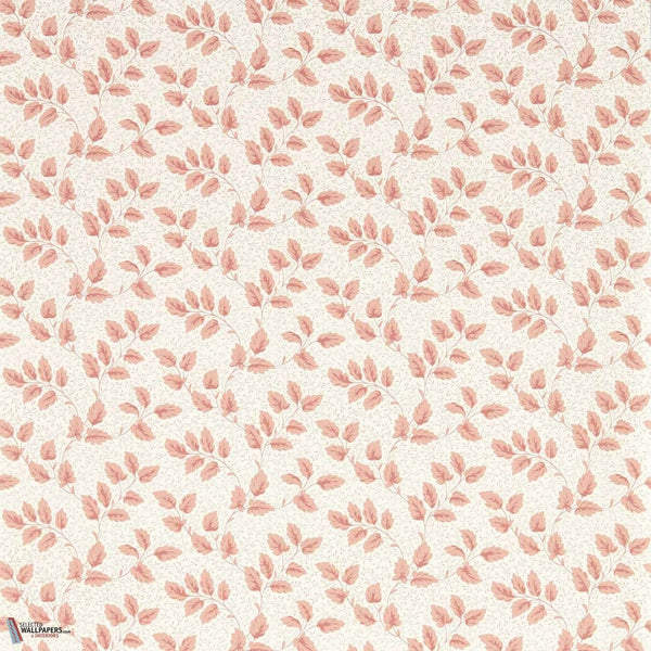 Tomato leaf wallpaper-Sanderson-Pink clay-Roll-Selected Wallpapers-Interiors
