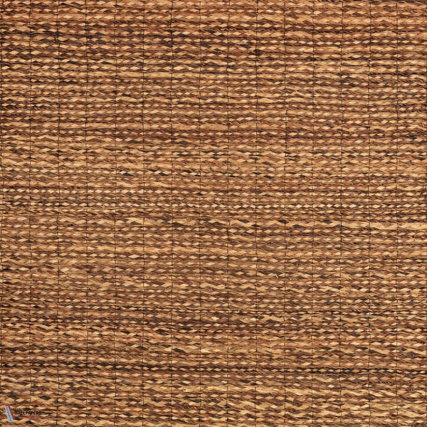 Bark