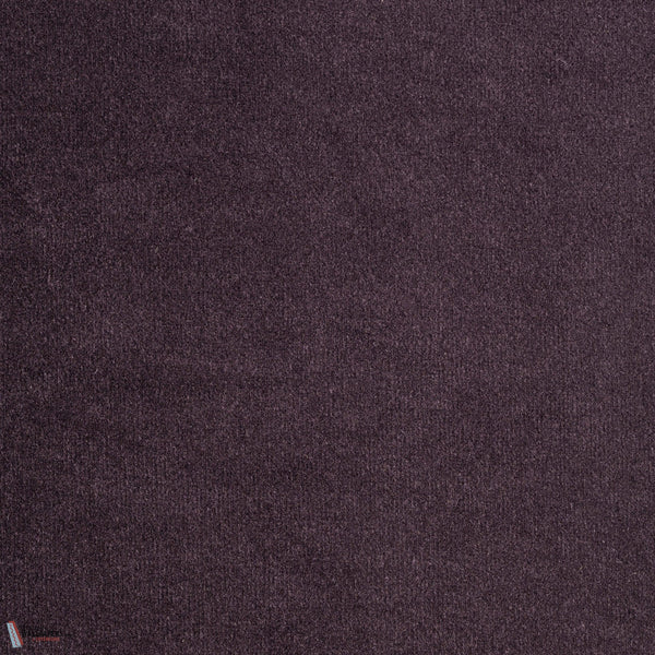 Velveteen Tapete-Tissage Mahieu-Plum-Meter (M1)-Selected Wallpapers-Interiors