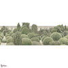 VILLA REALE GLXVI341 Combined Design