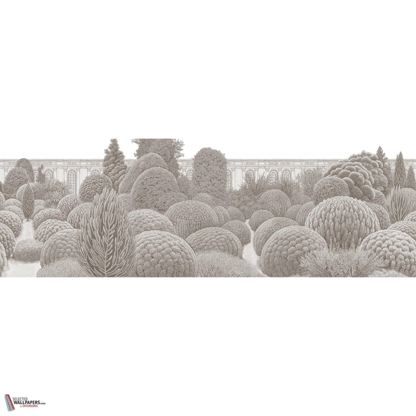 VILLA REALE GLXVI342 Combined Design