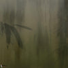 Viridia wallpaper-Glamora-1-GlamDecor-M2-Selected Wallpapers-Interiors