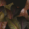 Zamia behang-Behang-Wall & Deco-01-d.ecodura Texture-M2-Selected Wallpapers & Interiors