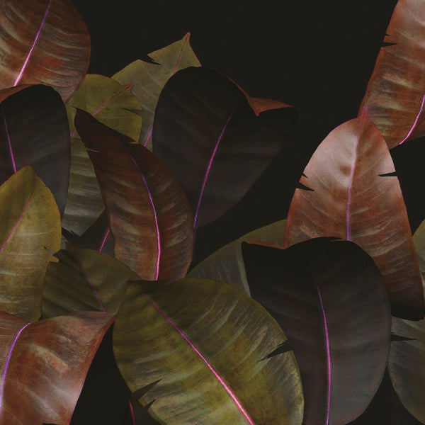 Zamia behang-Behang-Wall & Deco-01-d.ecodura Texture-M2-Selected Wallpapers & Interiors