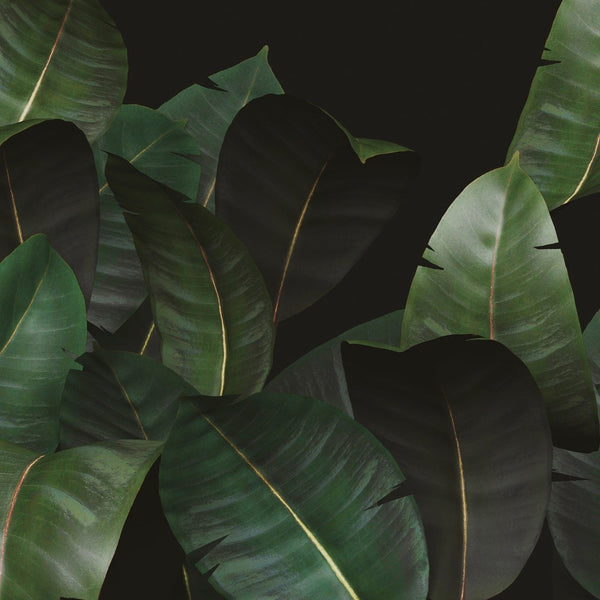 Zamia behang-Behang-Wall & Deco-02-d.ecodura Texture-M2-Selected Wallpapers & Interiors