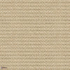 Yuca wallpaper-Coordonne-Arena-Roll-Selected Wallpapers-Interiors