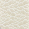 Pumice