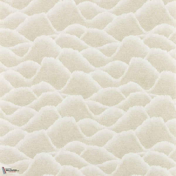 Pumice