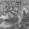 Amazonia wallpaper by Iksel — Grey Tones, detail