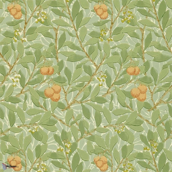 Arbutus wallpaper in Green/Terracotta van Morris & Co
