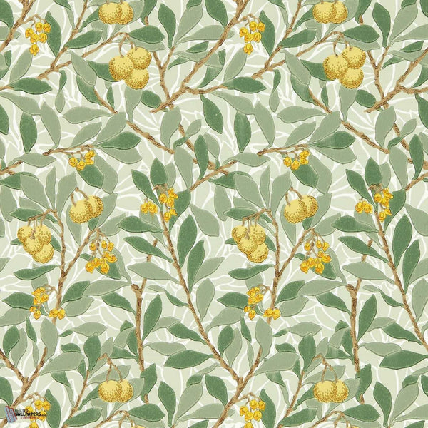 Arbutus wallpaper in Sage/Lemon van Morris & Co