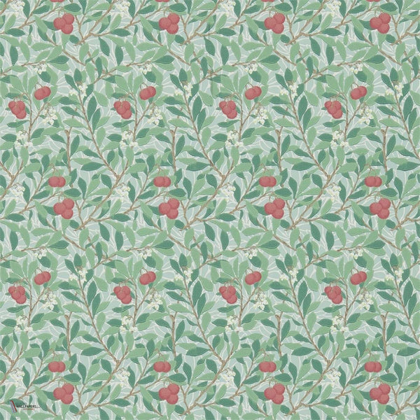 Arbutus wallpaper in Thyme/Coral van Morris & Co