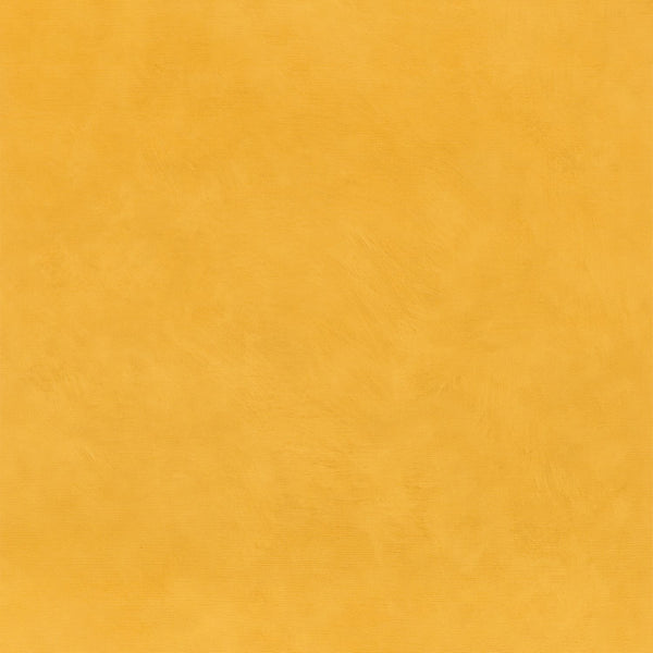 Argile behang - Curry