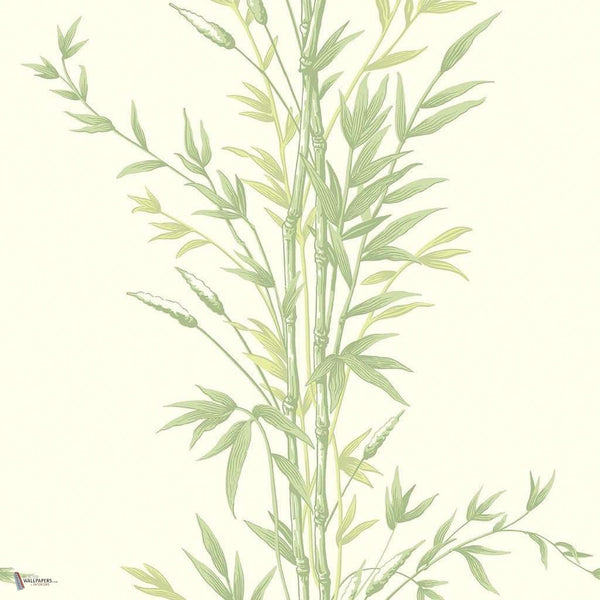 Bamboo behang in Olive Green van Cole & Son