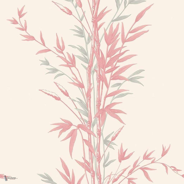 Bamboo behang in Rose van Cole & Son