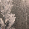 Borneo wallpaper van Texam