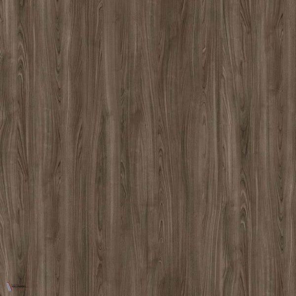 Bouleau wallpaper van Nobilis