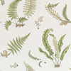 Ferns behang - BW45044.10