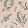 Ferns behang - BW45044.11