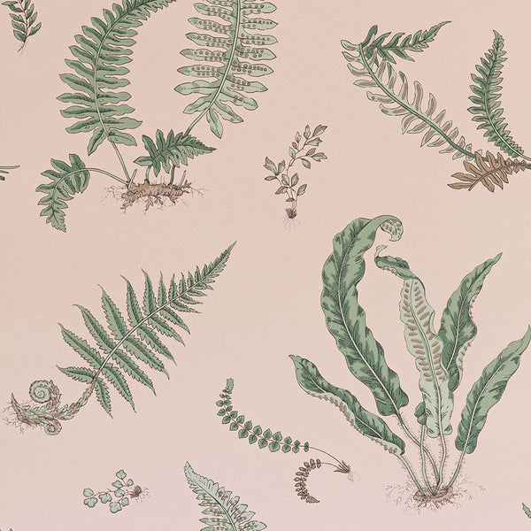 Ferns behang - BW45044.11