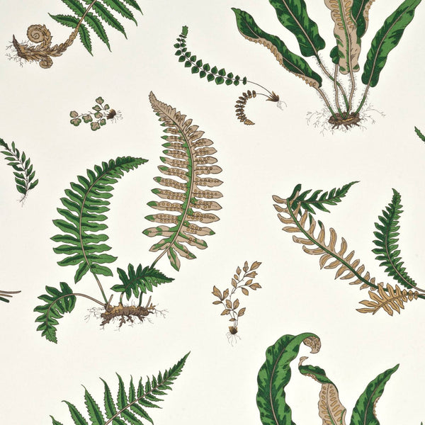Ferns behang - BW45044.1