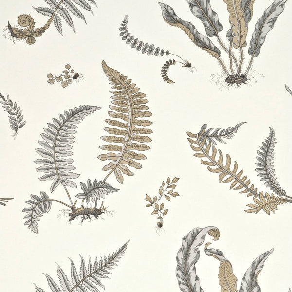 Ferns behang - BW45044.4
