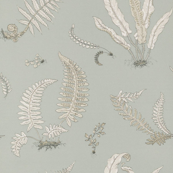Ferns behang - BW45044.7