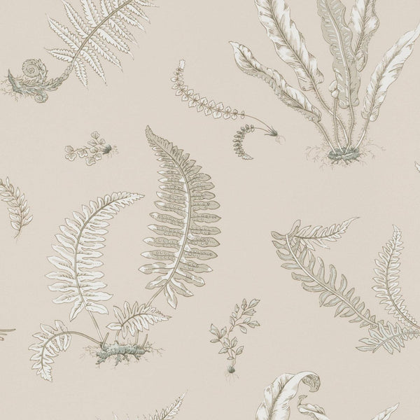 Ferns behang - BW45044.8