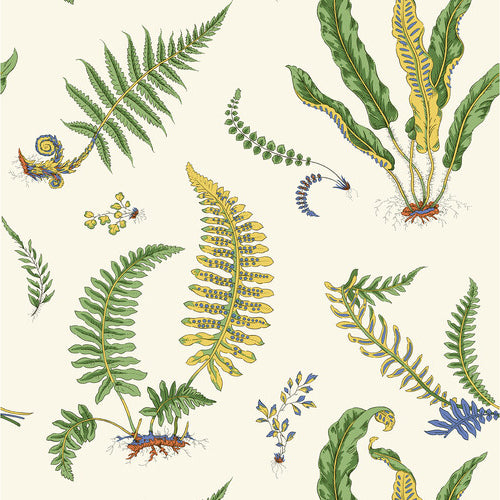 Ferns behang - BW45122.1