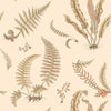 Ferns behang - BW45122.2