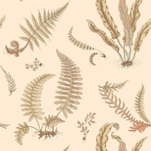Ferns behang - BW45122.2