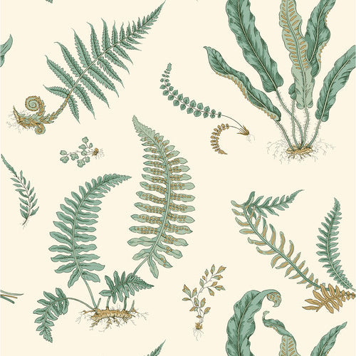 Ferns behang - BW45122.4