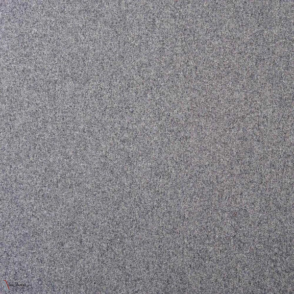 Arthur'S Seat fabric in Mouse by Casamance
