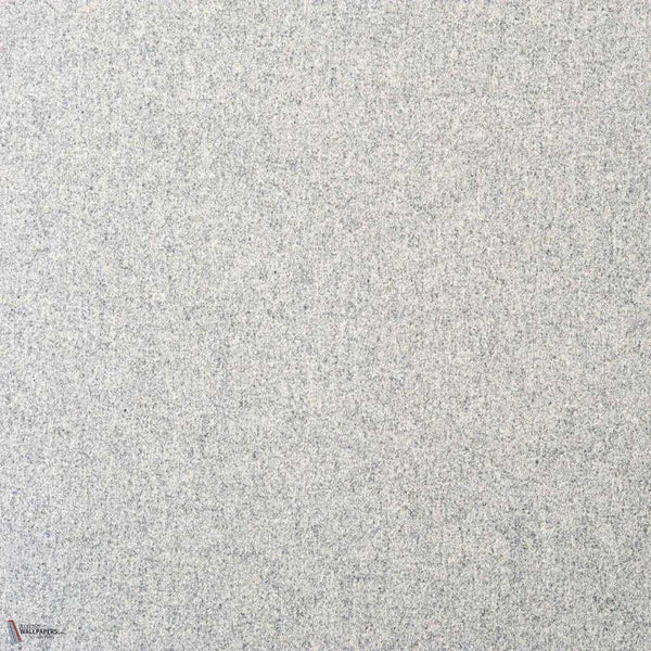Arthur'S Seat fabric in Silver by Casamance