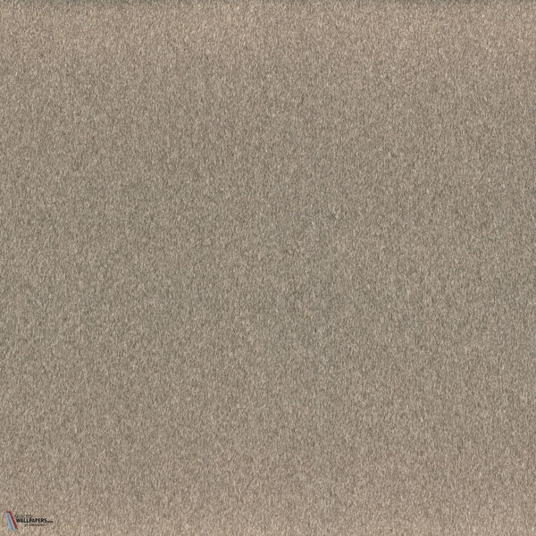 Clyde fabric in Taupe by Casamance