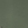 Dolce Vita fabric in Vert Sauge by Casamance